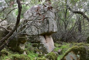 Villaggio Bidd 'e Mores - Assemini