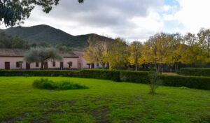 Complesso di Pantaleo