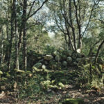 Area archeologica di Fanebas