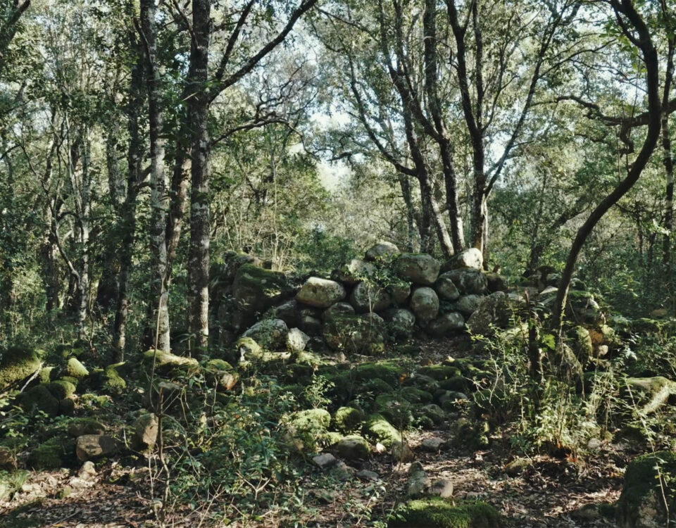 Area archeologica di Fanebas