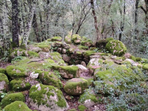 Resti del villaggio nuragico di Fanebas