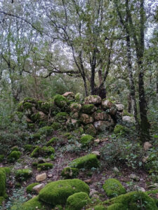 Resti del villaggio nuragico di Fanebas