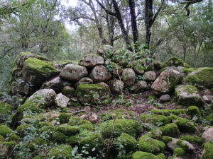 Resti del villaggio nuragico di Fanebas