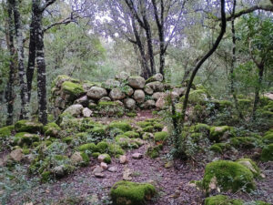 Resti del villaggio nuragico di Fanebas