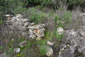 Resti di strutture rettilinee del villaggio